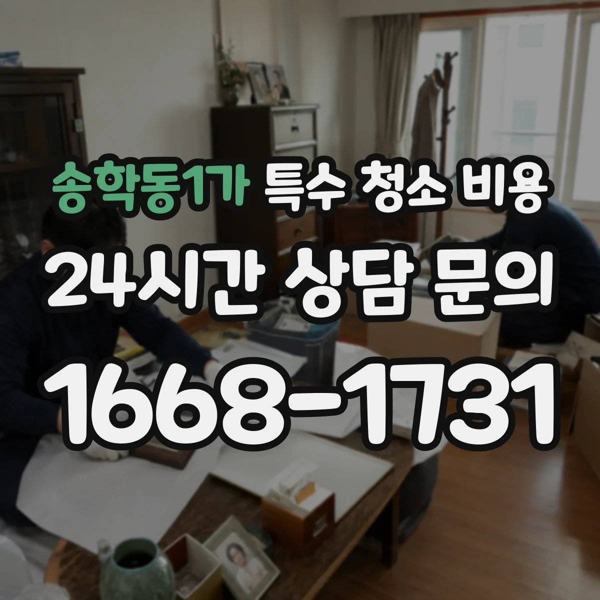 송학동1가 특수 청소 비용