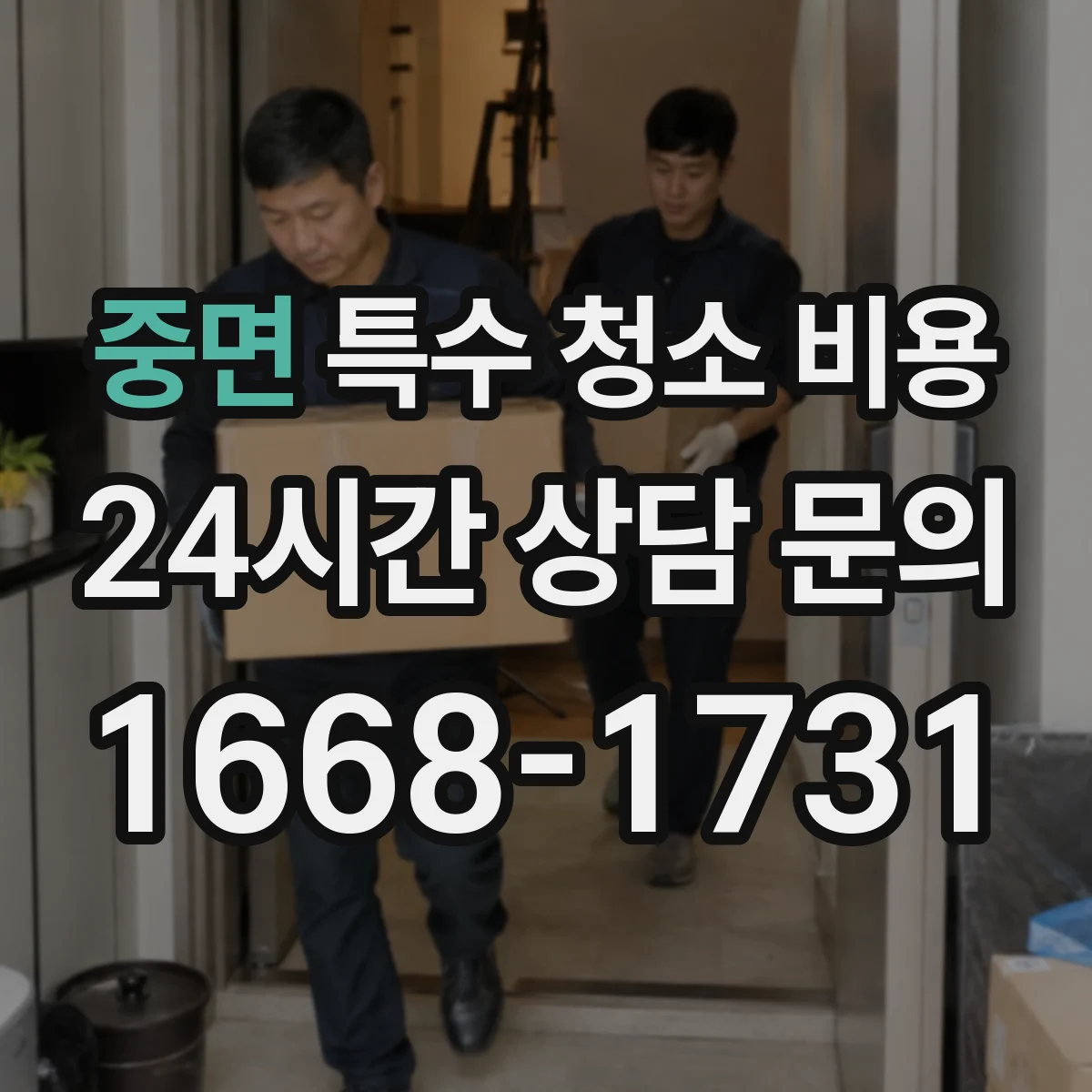 중면 특수 청소 비용