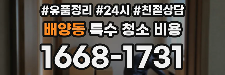 배양동 특수 청소 비용