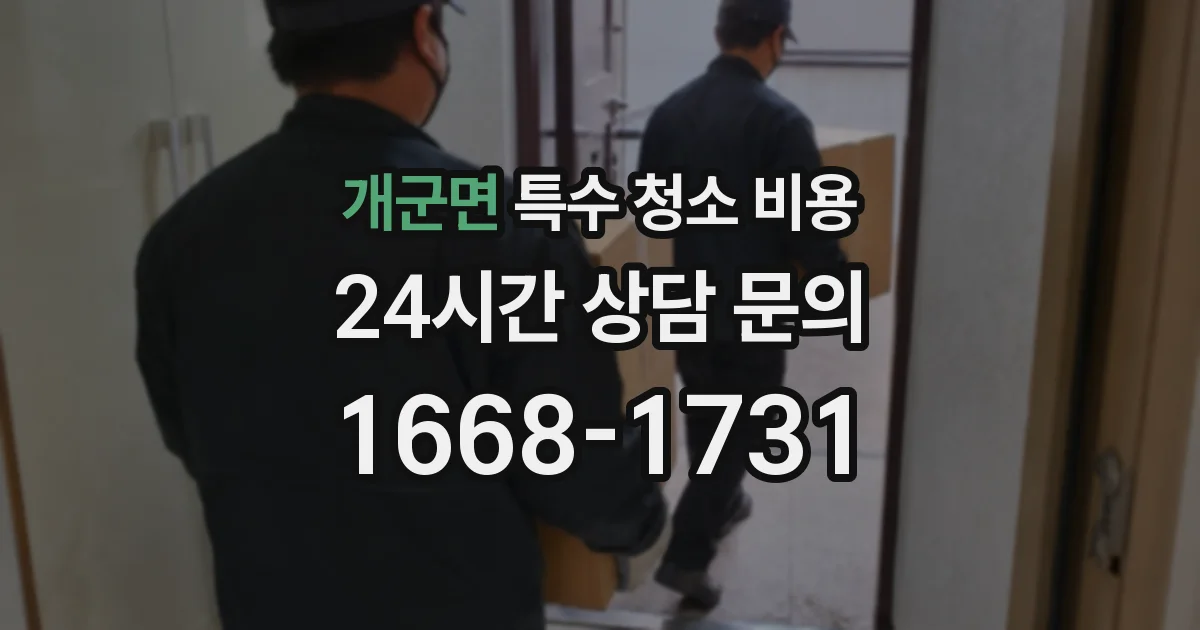 개군면 특수 청소 비용