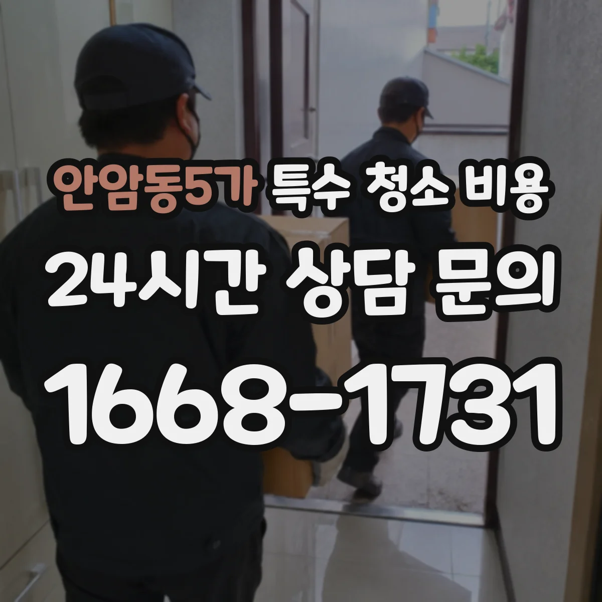 안암동5가 특수 청소 비용