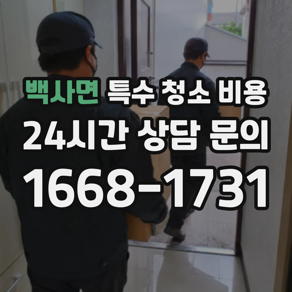 백사면 특수 청소 비용