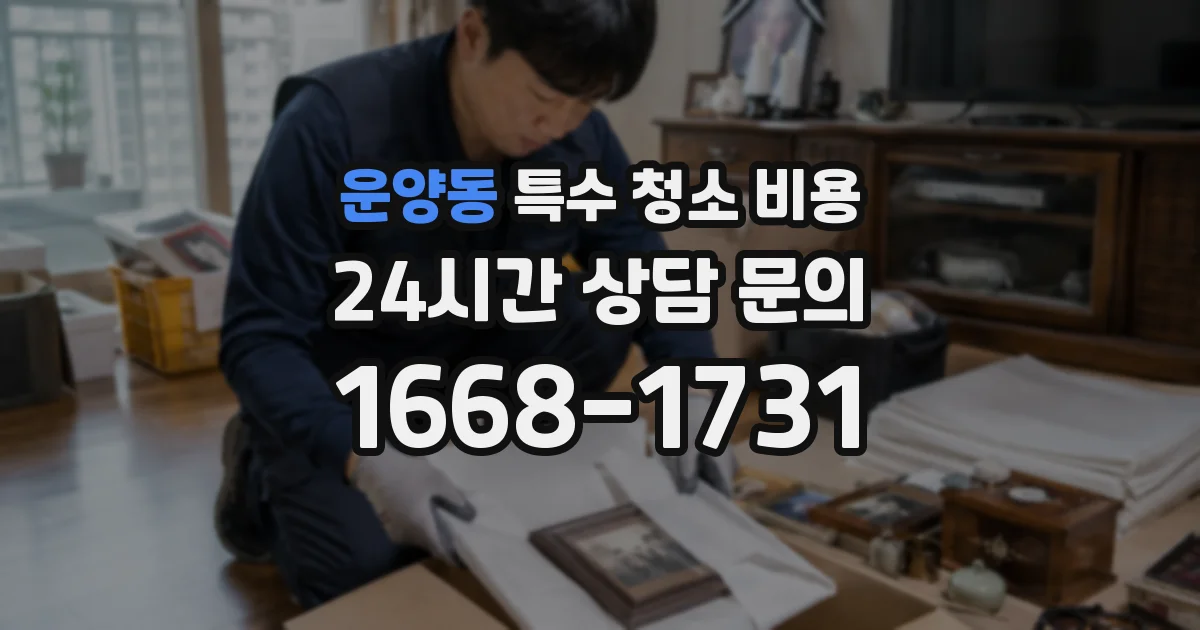 운양동 특수 청소 비용