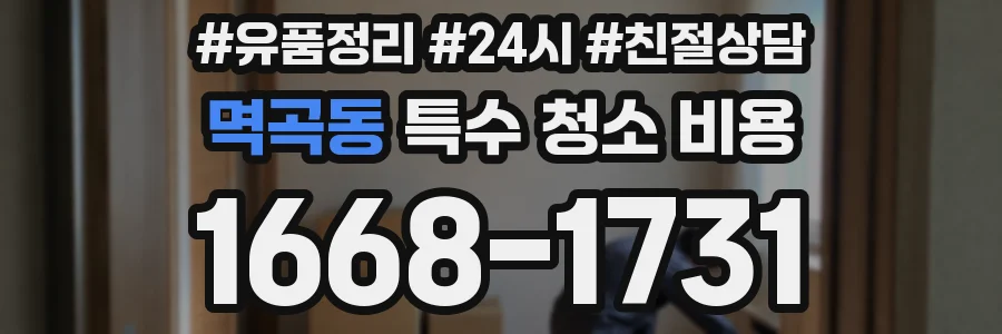 멱곡동 특수 청소 비용