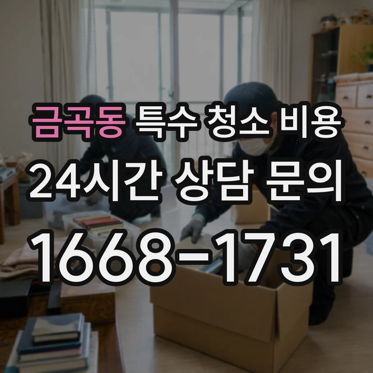 금곡동 특수 청소 비용