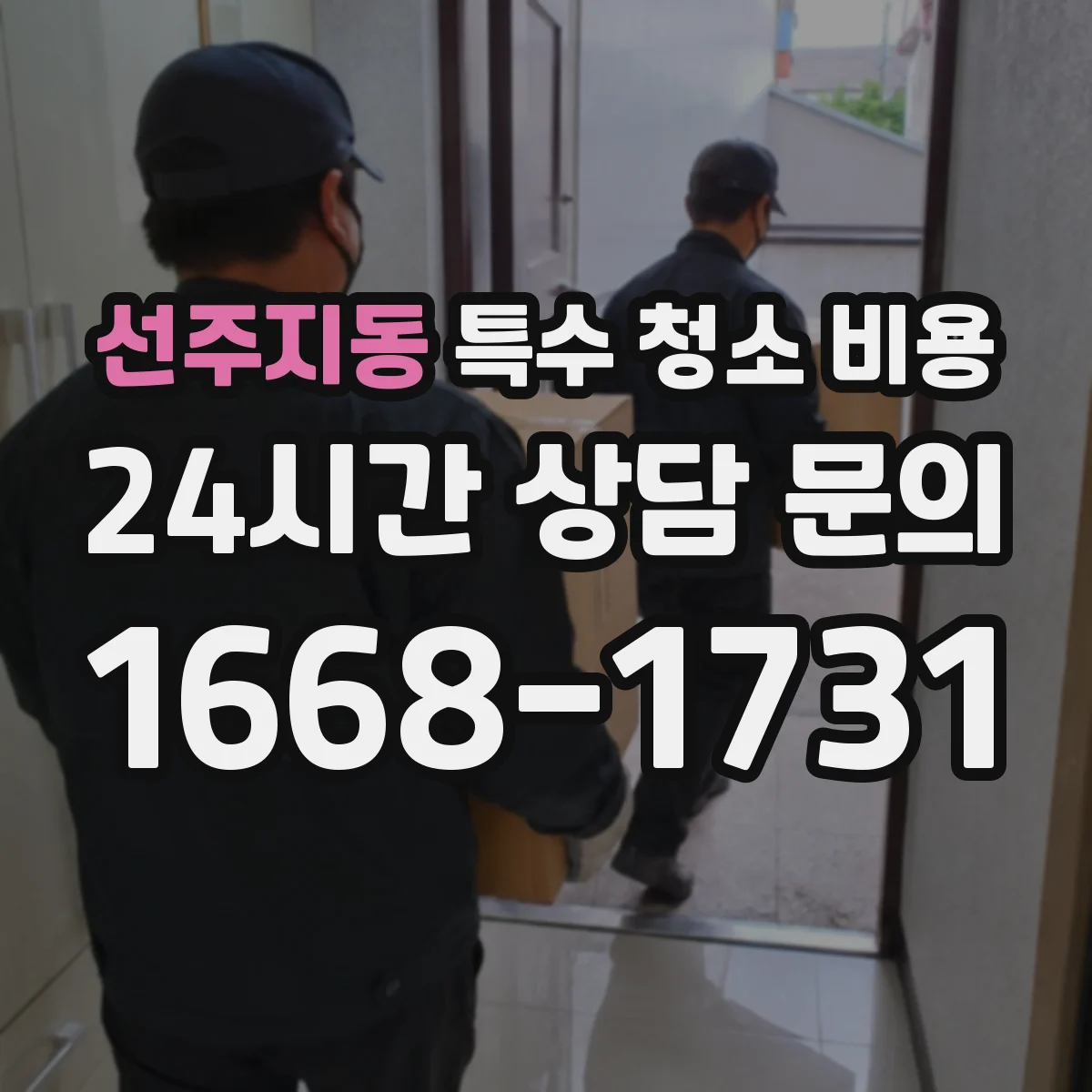 선주지동 특수 청소 비용