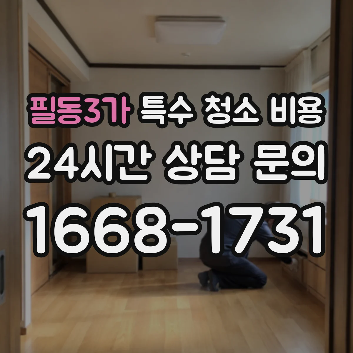 필동3가 특수 청소 비용
