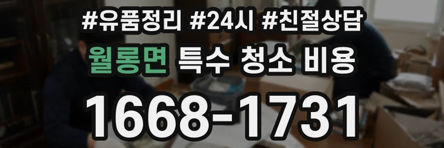 월롱면 특수 청소 비용