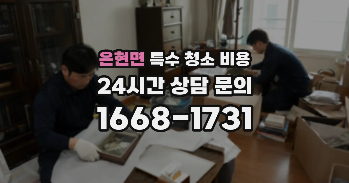 은현면 특수 청소 비용