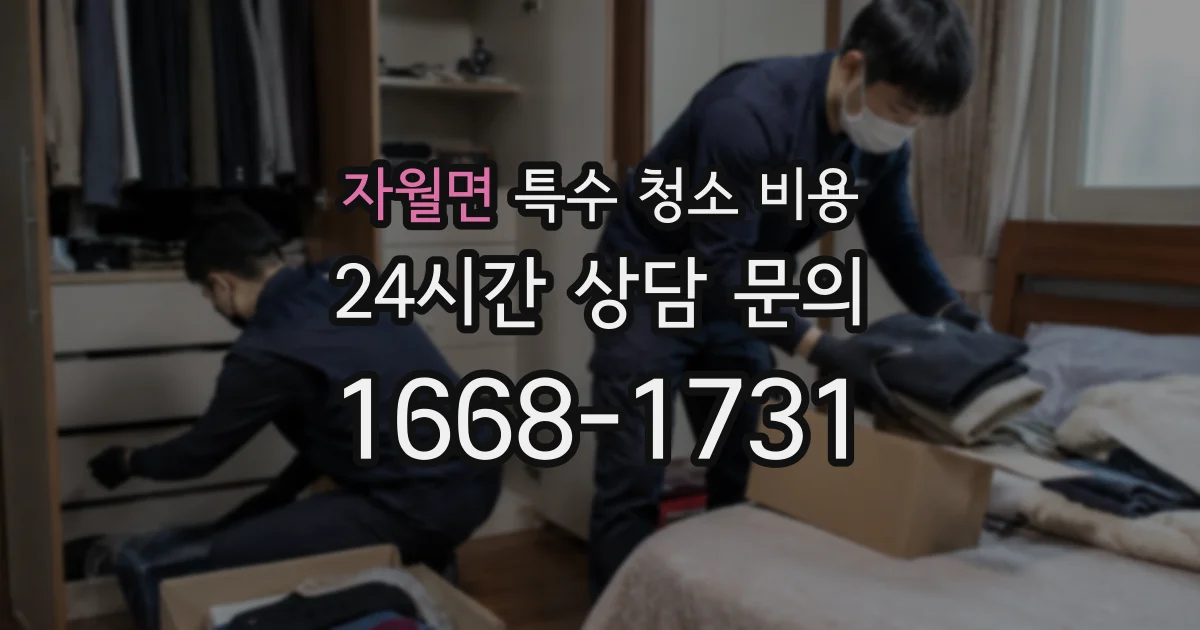 자월면 특수 청소 비용