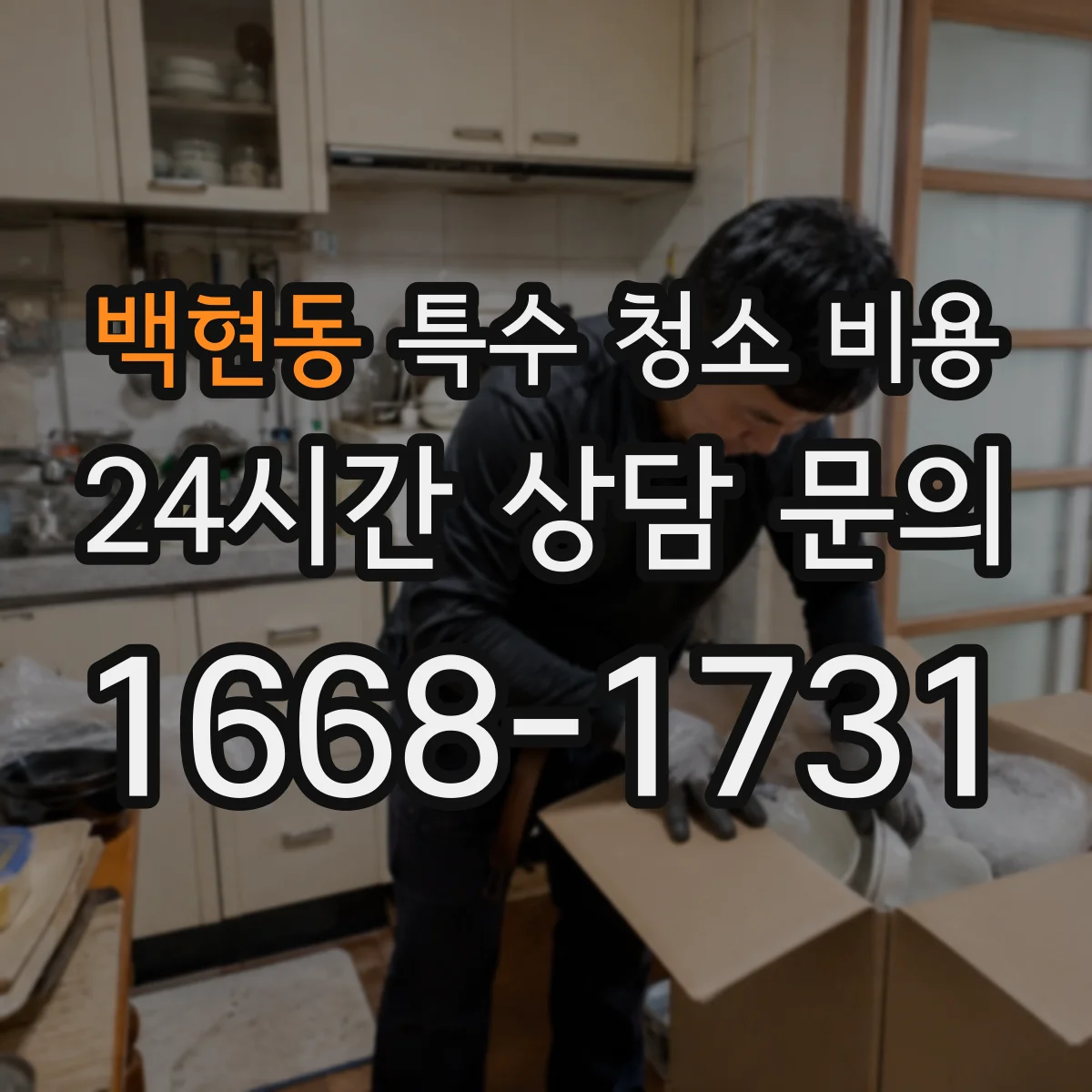 백현동 특수 청소 비용