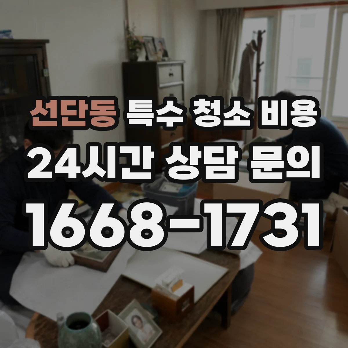 선단동 특수 청소 비용