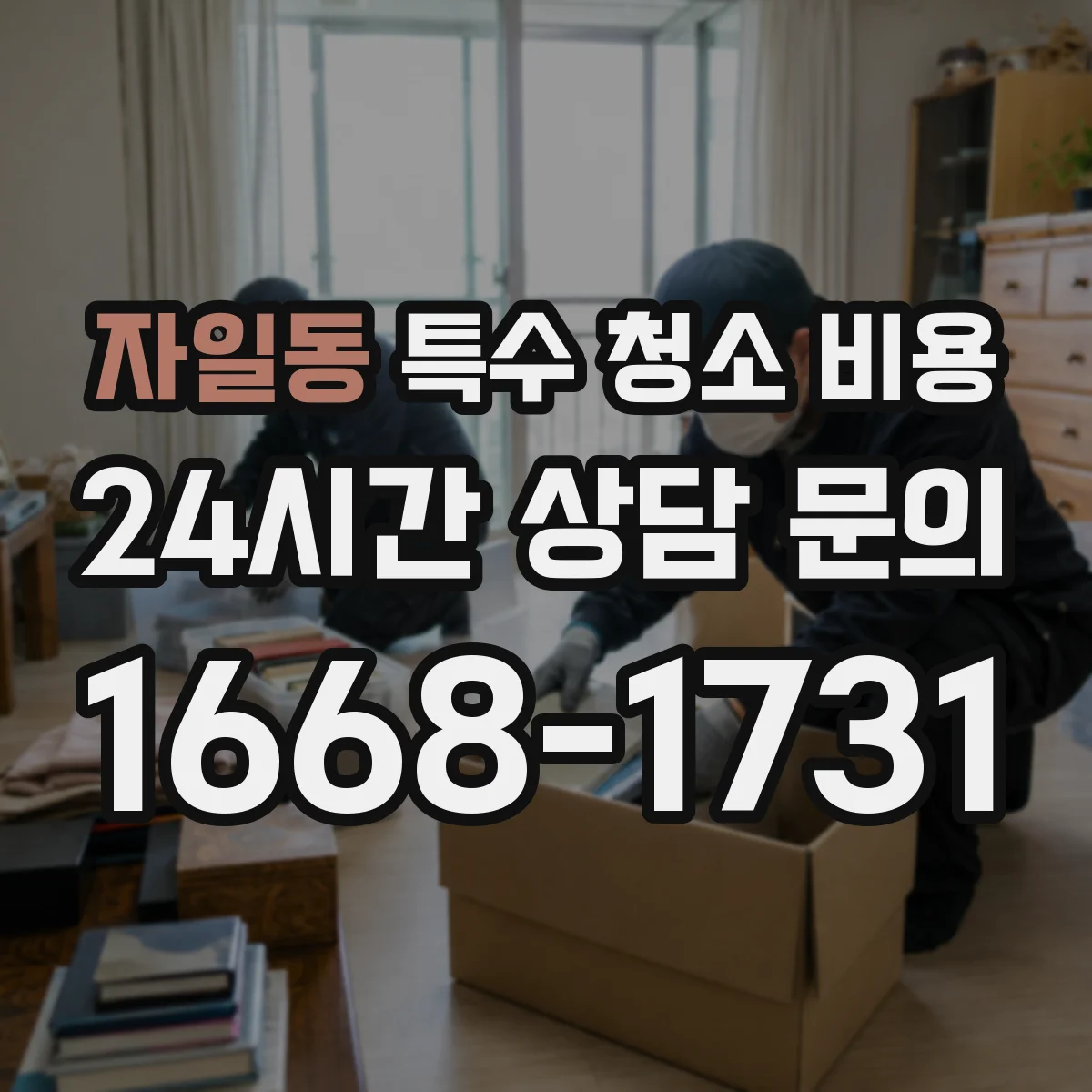 자일동 특수 청소 비용
