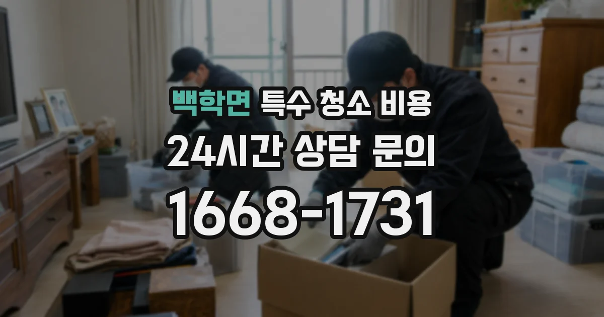백학면 특수 청소 비용