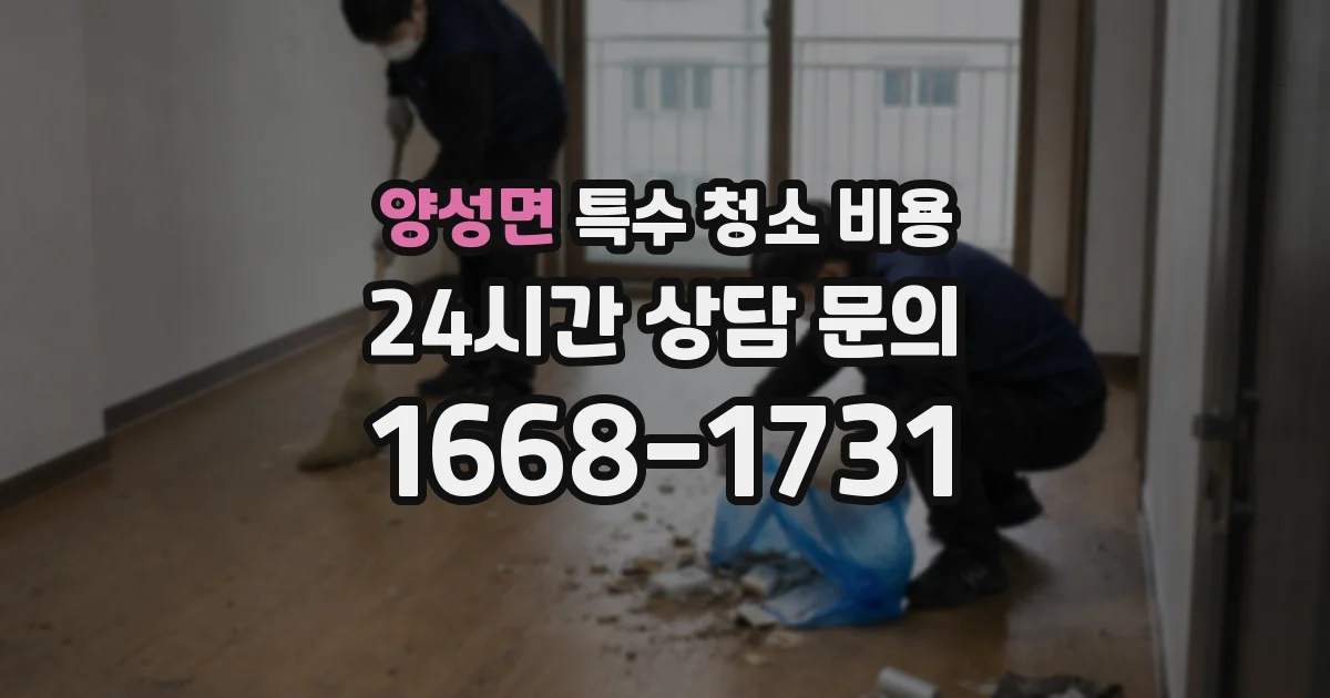 양성면 특수 청소 비용