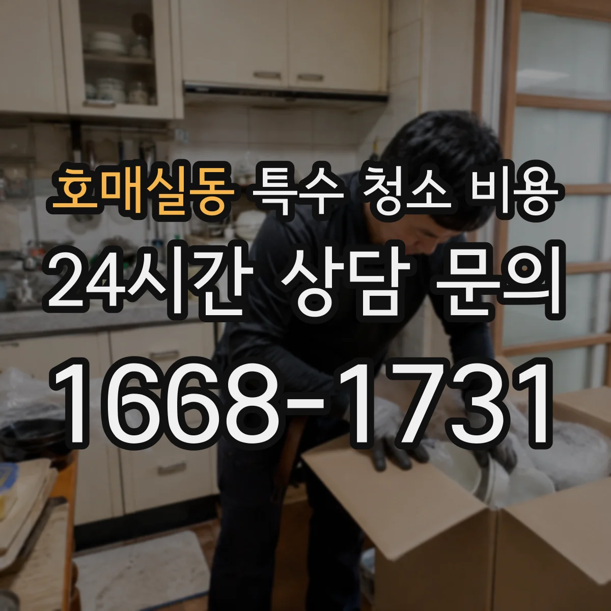 호매실동 특수 청소 비용