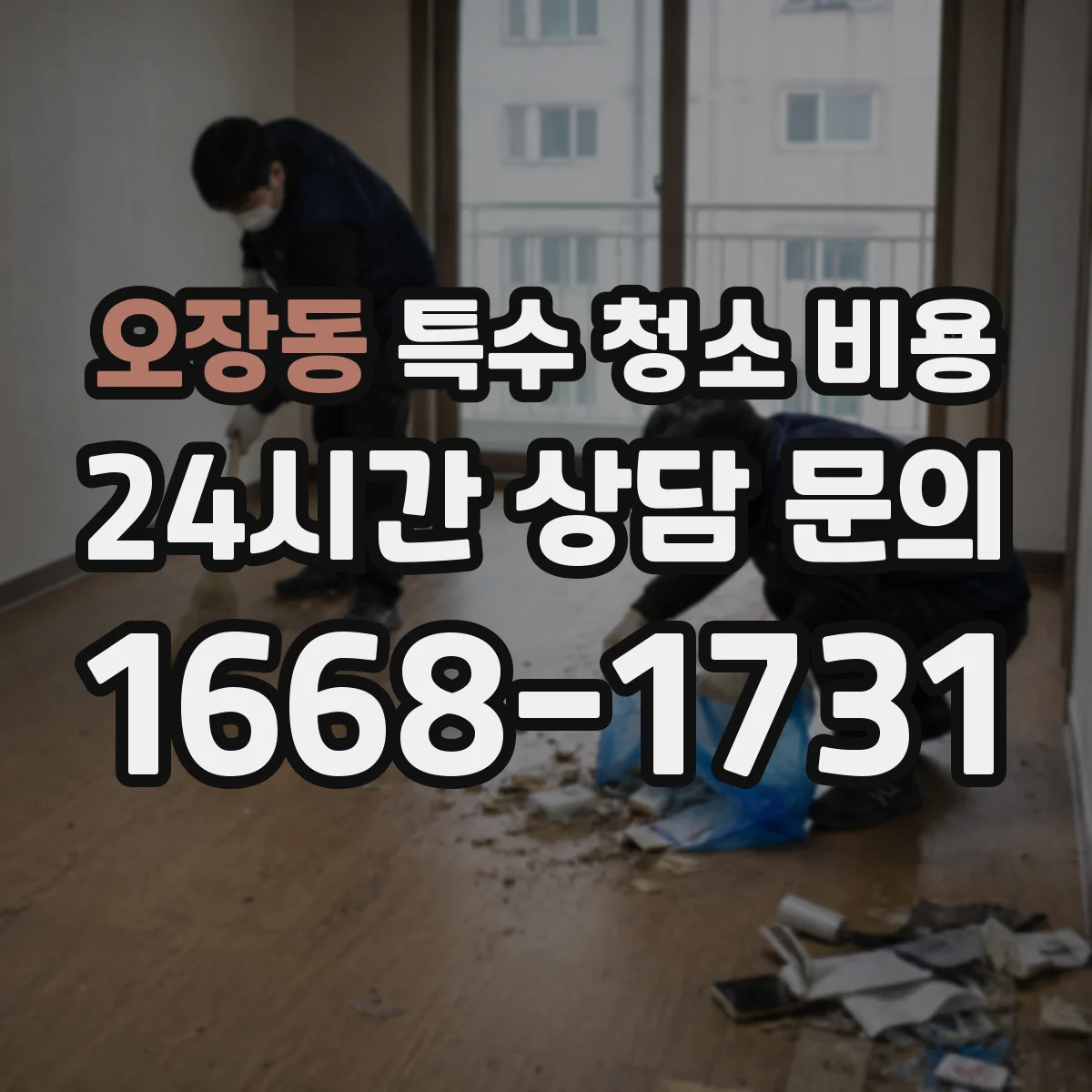 오장동 특수 청소 비용