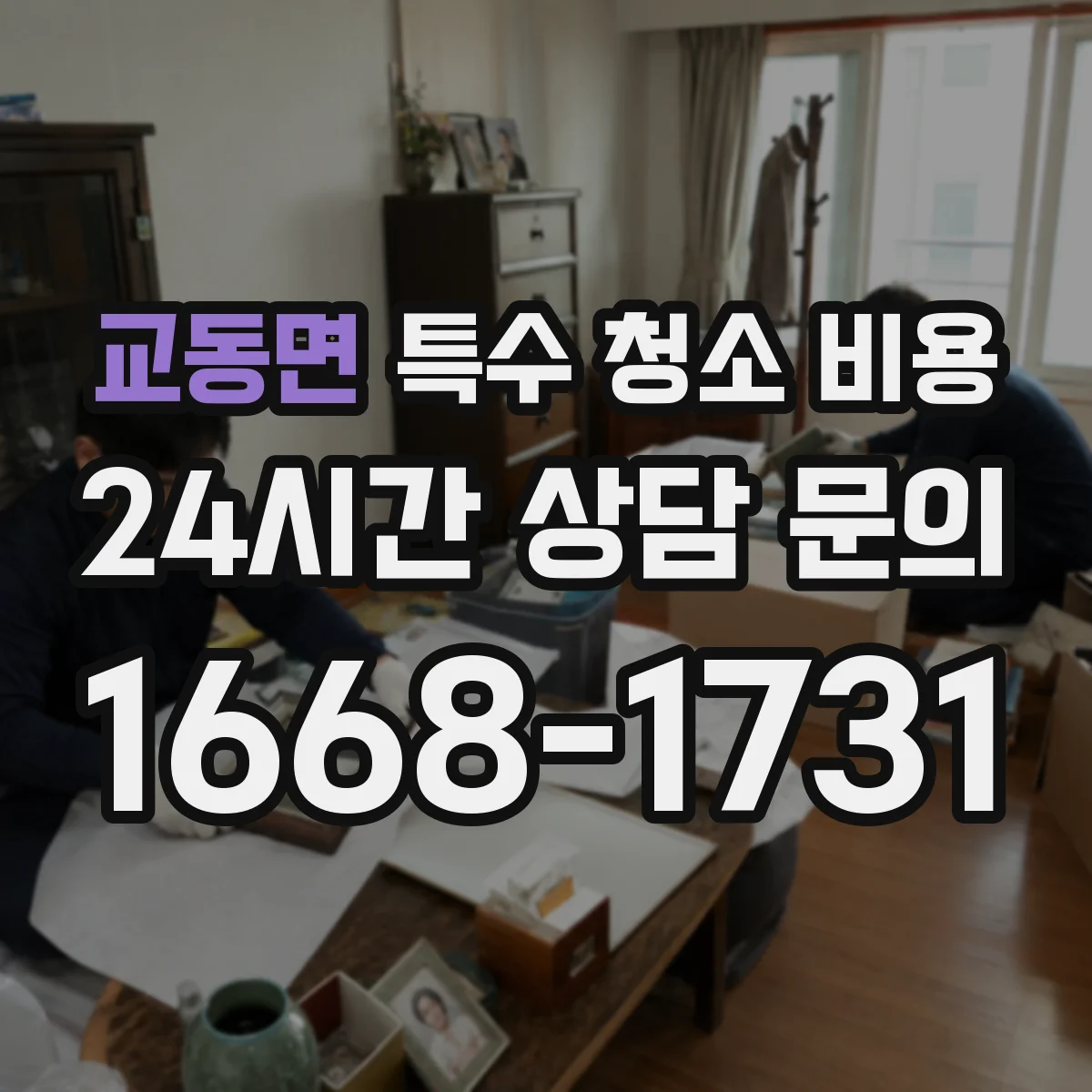 교동면 특수 청소 비용