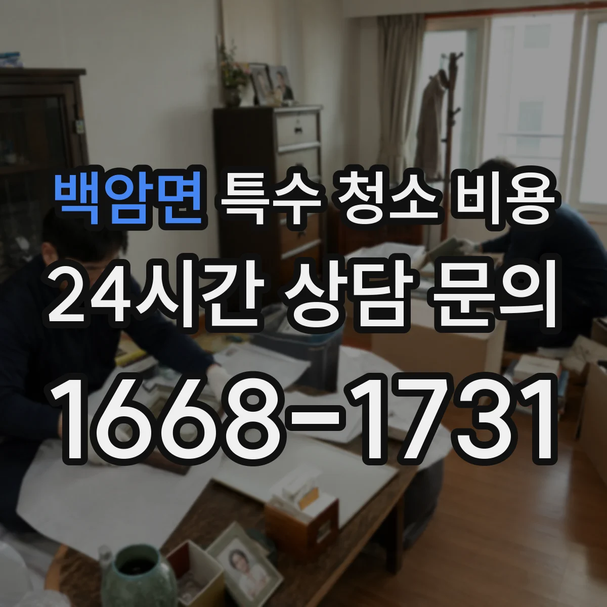 백암면 특수 청소 비용