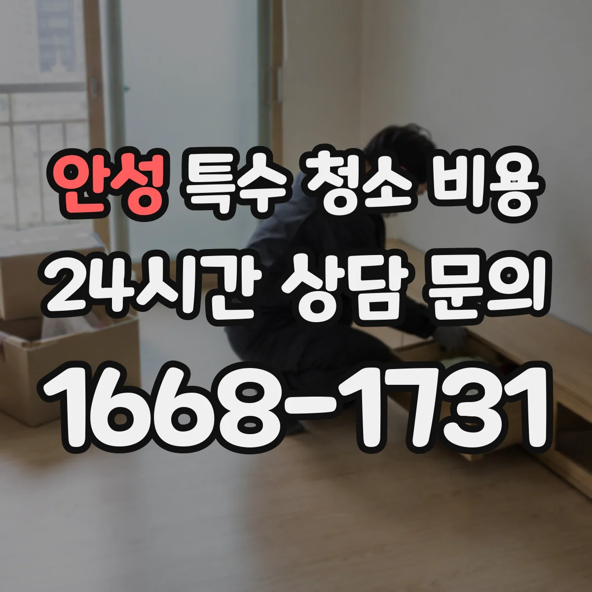 안성 특수 청소 비용