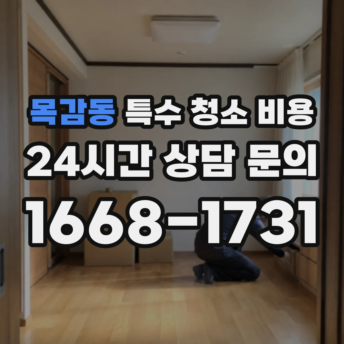 목감동 특수 청소 비용