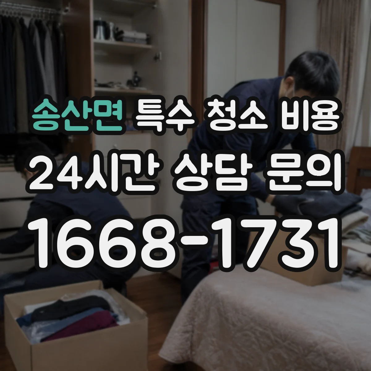 송산면 특수 청소 비용