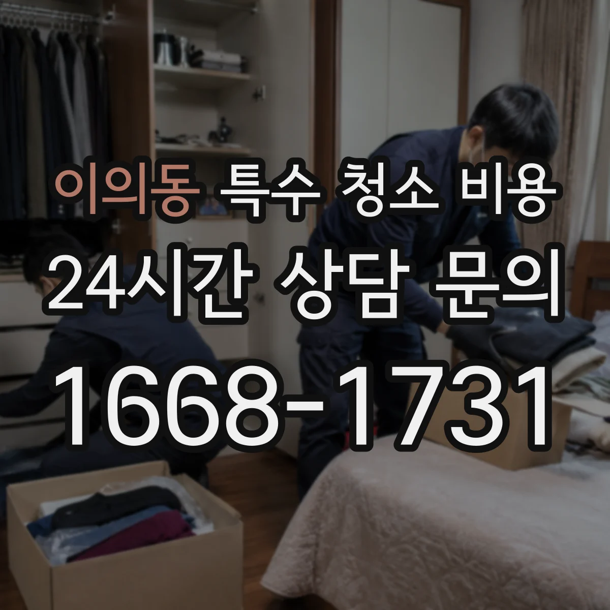 이의동 특수 청소 비용