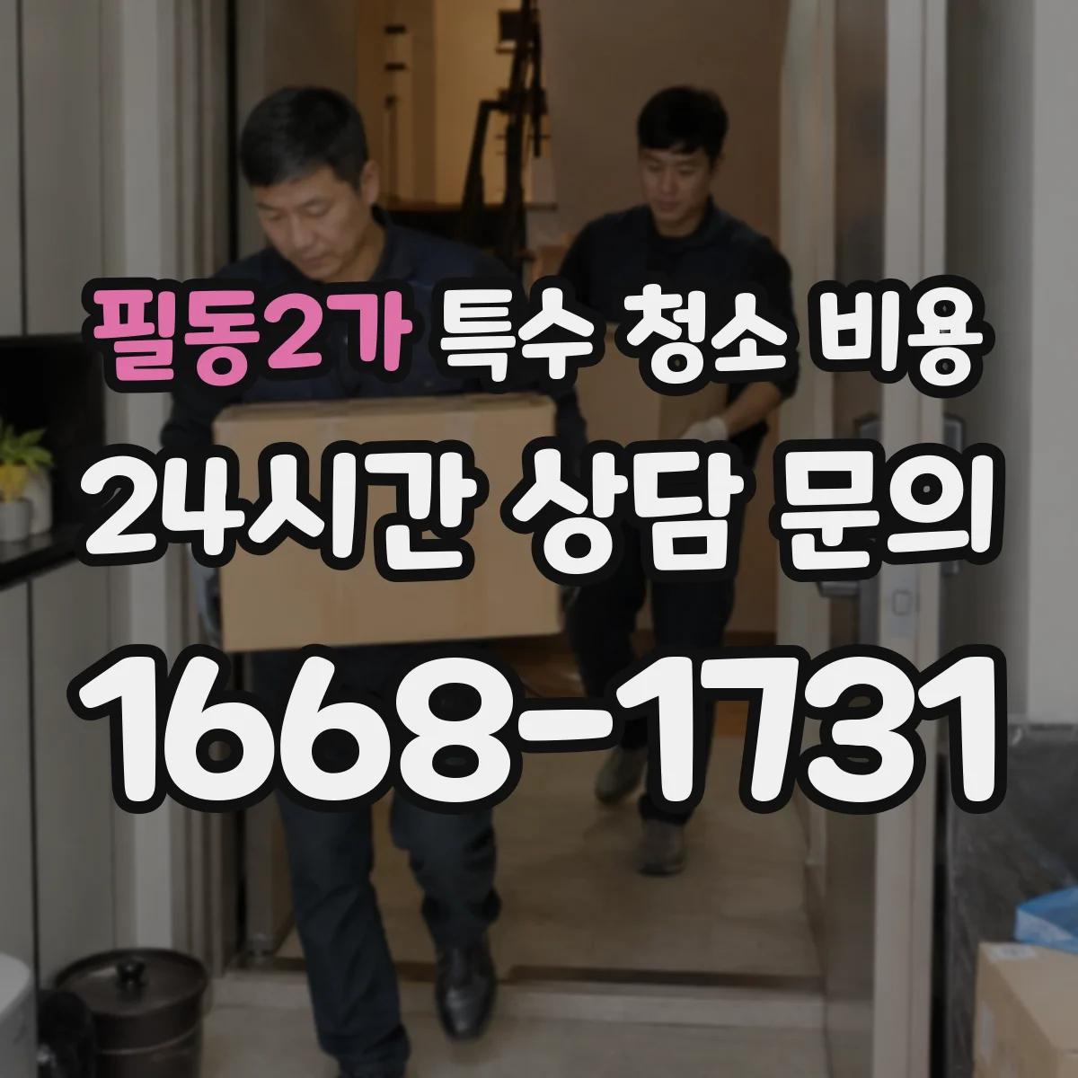 필동2가 특수 청소 비용