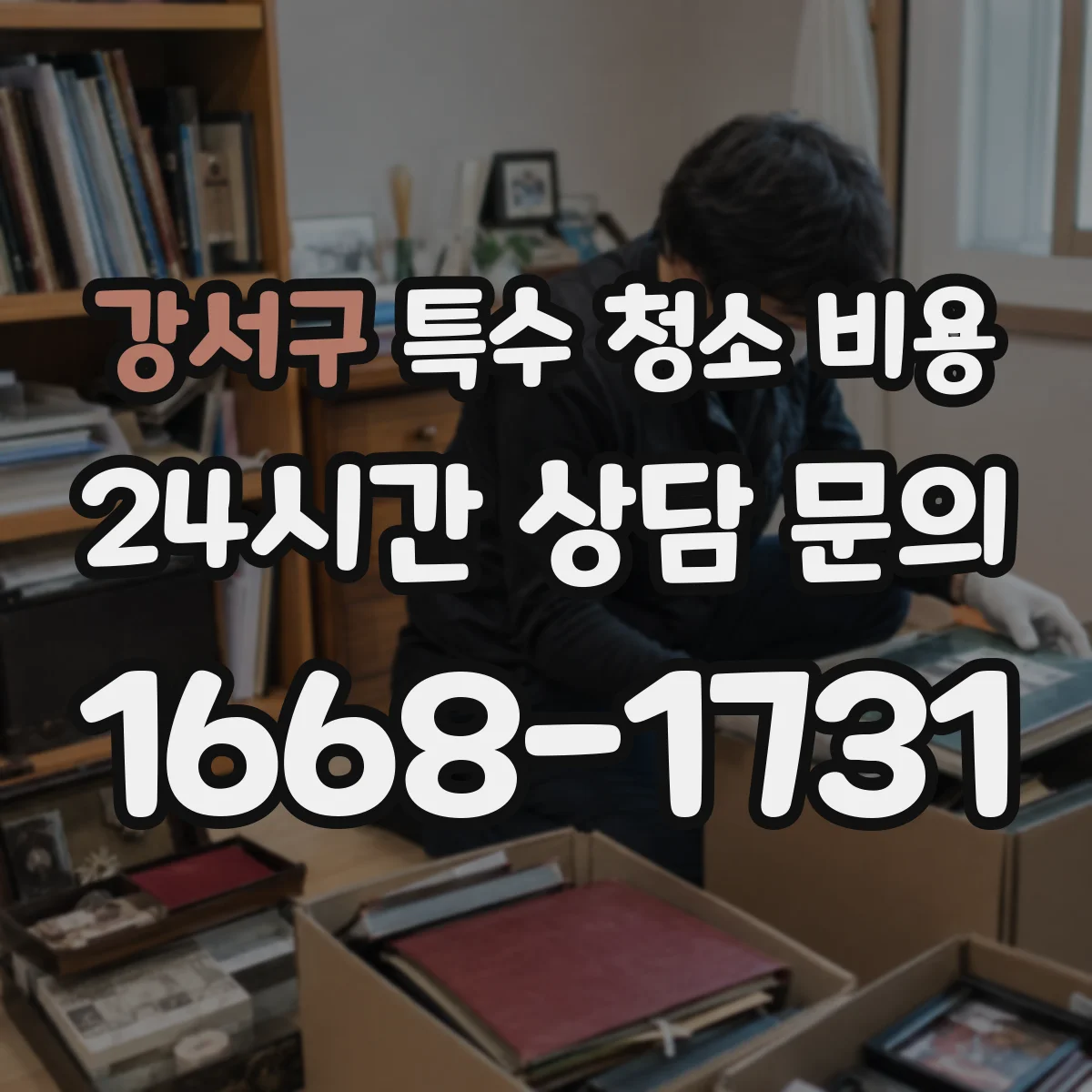 강서구 특수 청소 비용