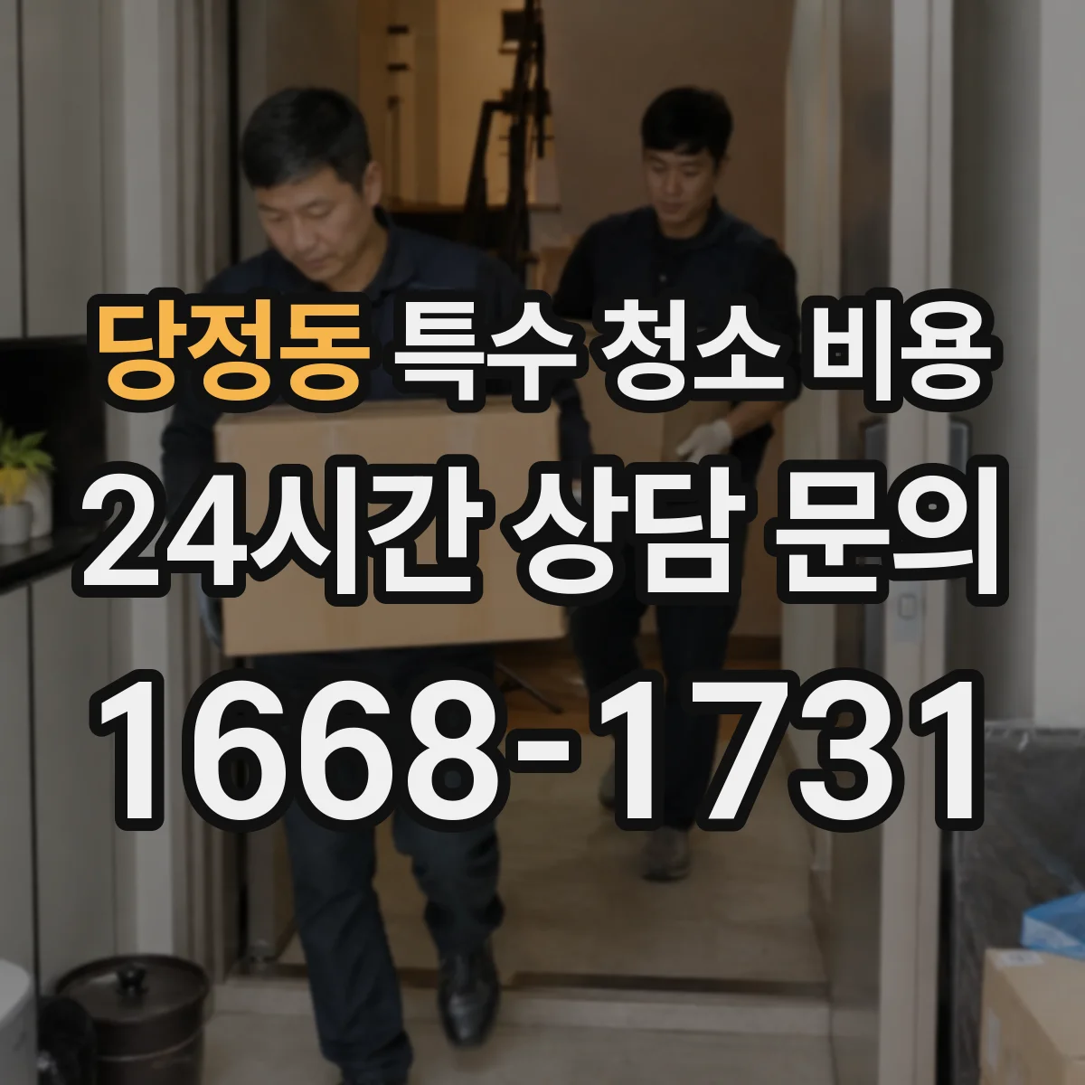 당정동 특수 청소 비용