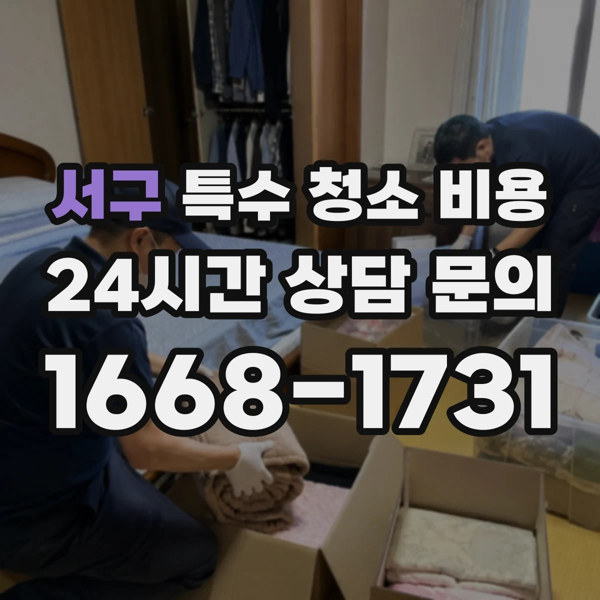 서구 특수 청소 비용