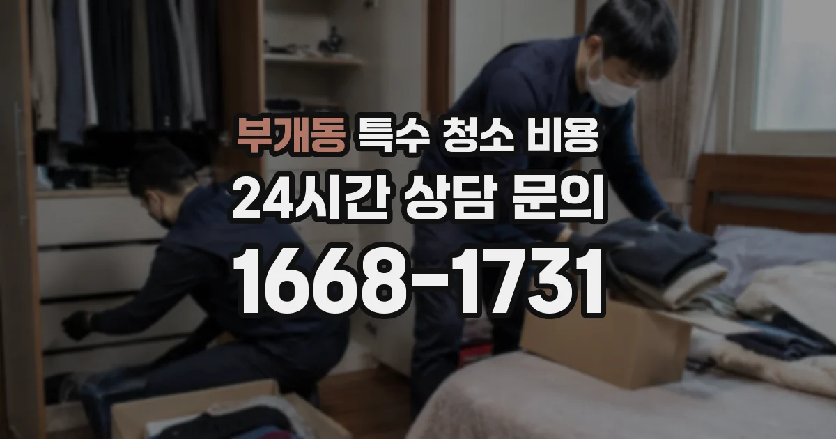 부개동 특수 청소 비용