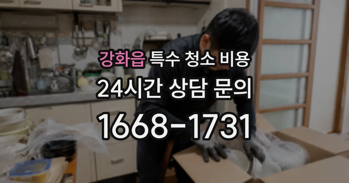 강화읍 특수 청소 비용