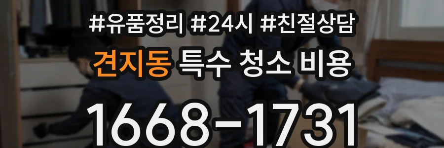 견지동 특수 청소 비용