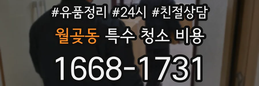 월곶동 특수 청소 비용
