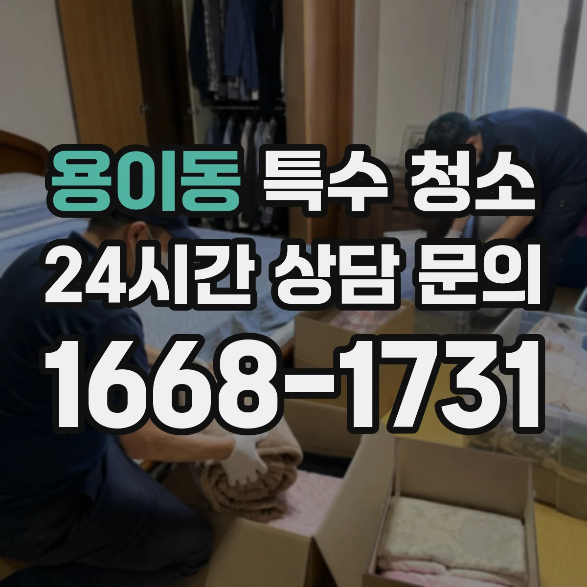 용이동 특수 청소