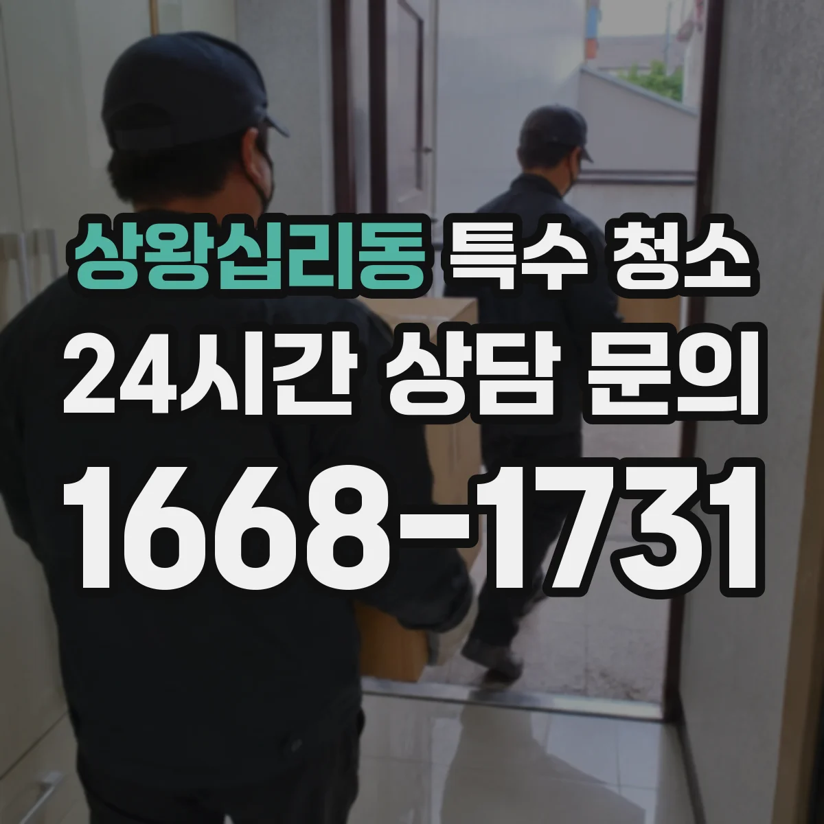 상왕십리동 특수 청소