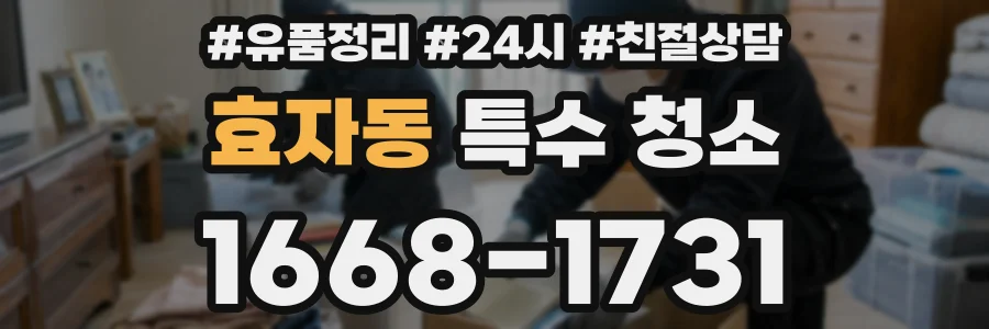 효자동 특수 청소
