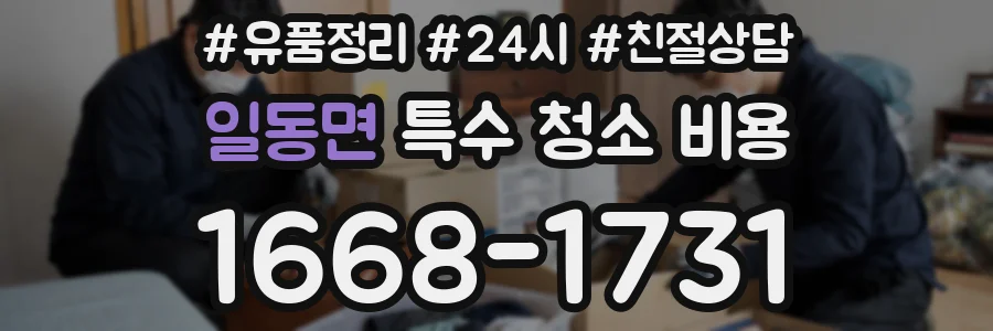 일동면 특수 청소 비용