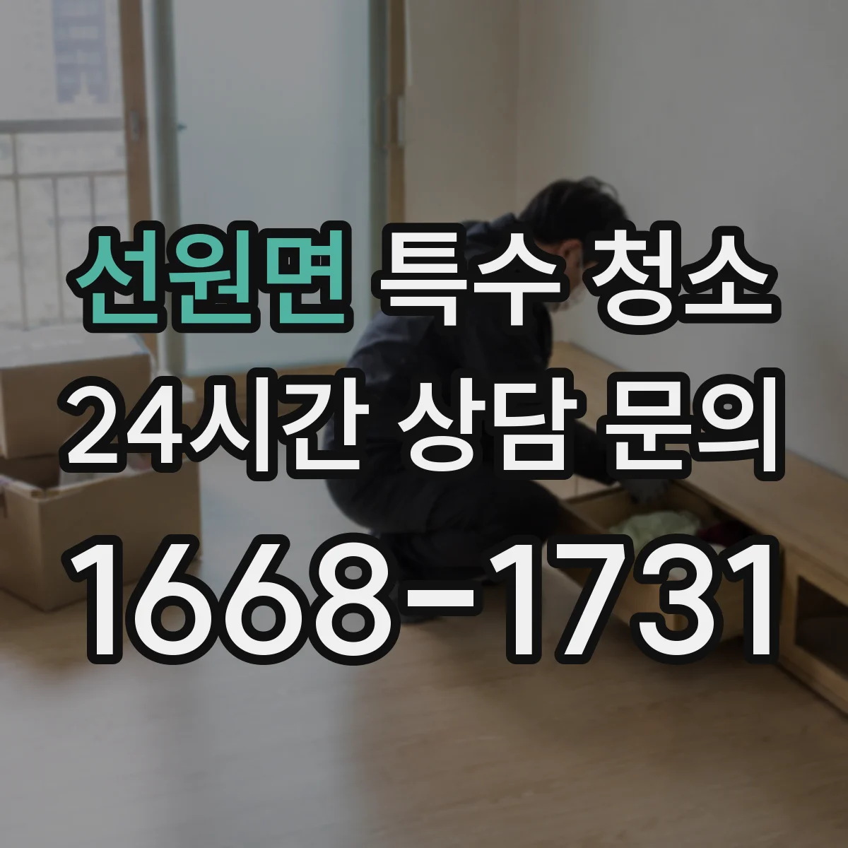 선원면 특수 청소