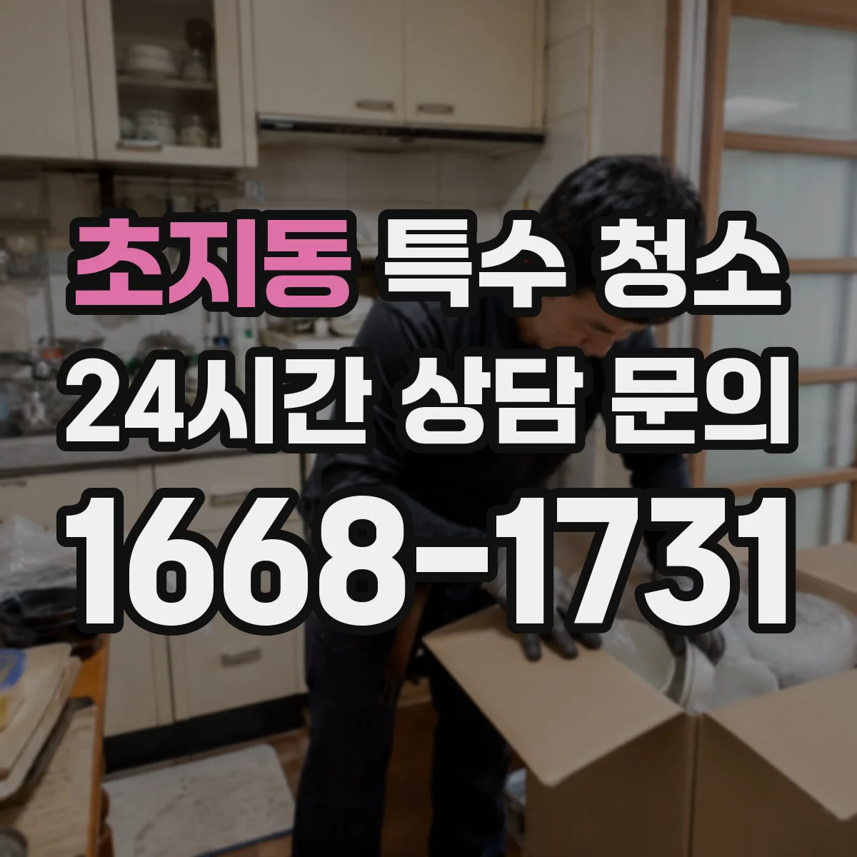 초지동 특수 청소