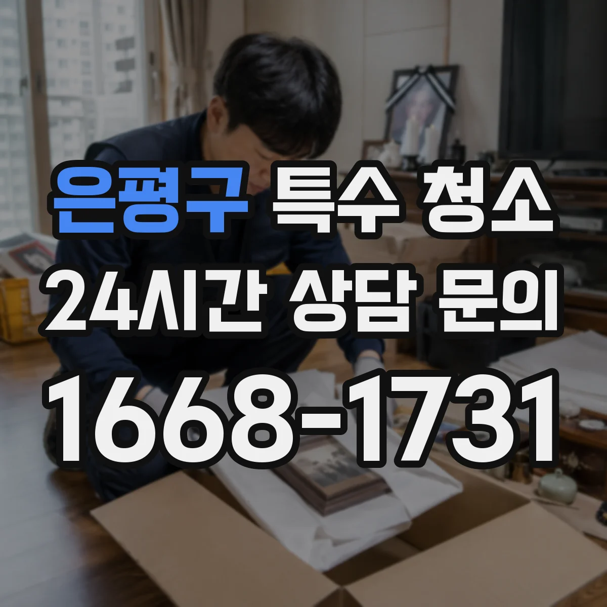 은평구 특수 청소