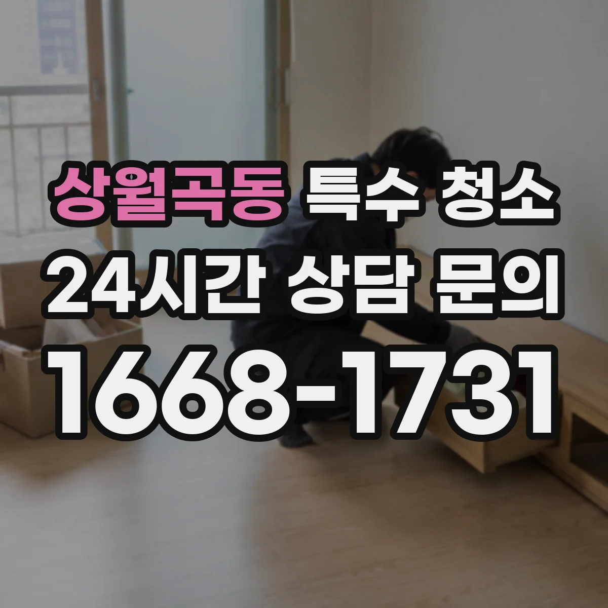 상월곡동 특수 청소