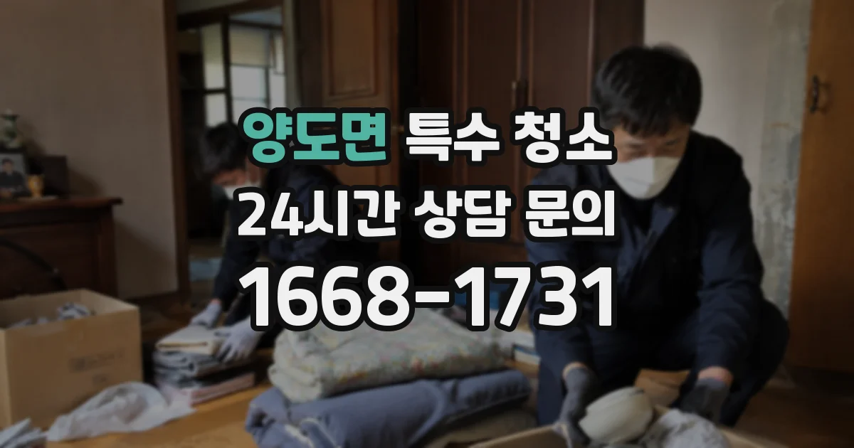 양도면 특수 청소