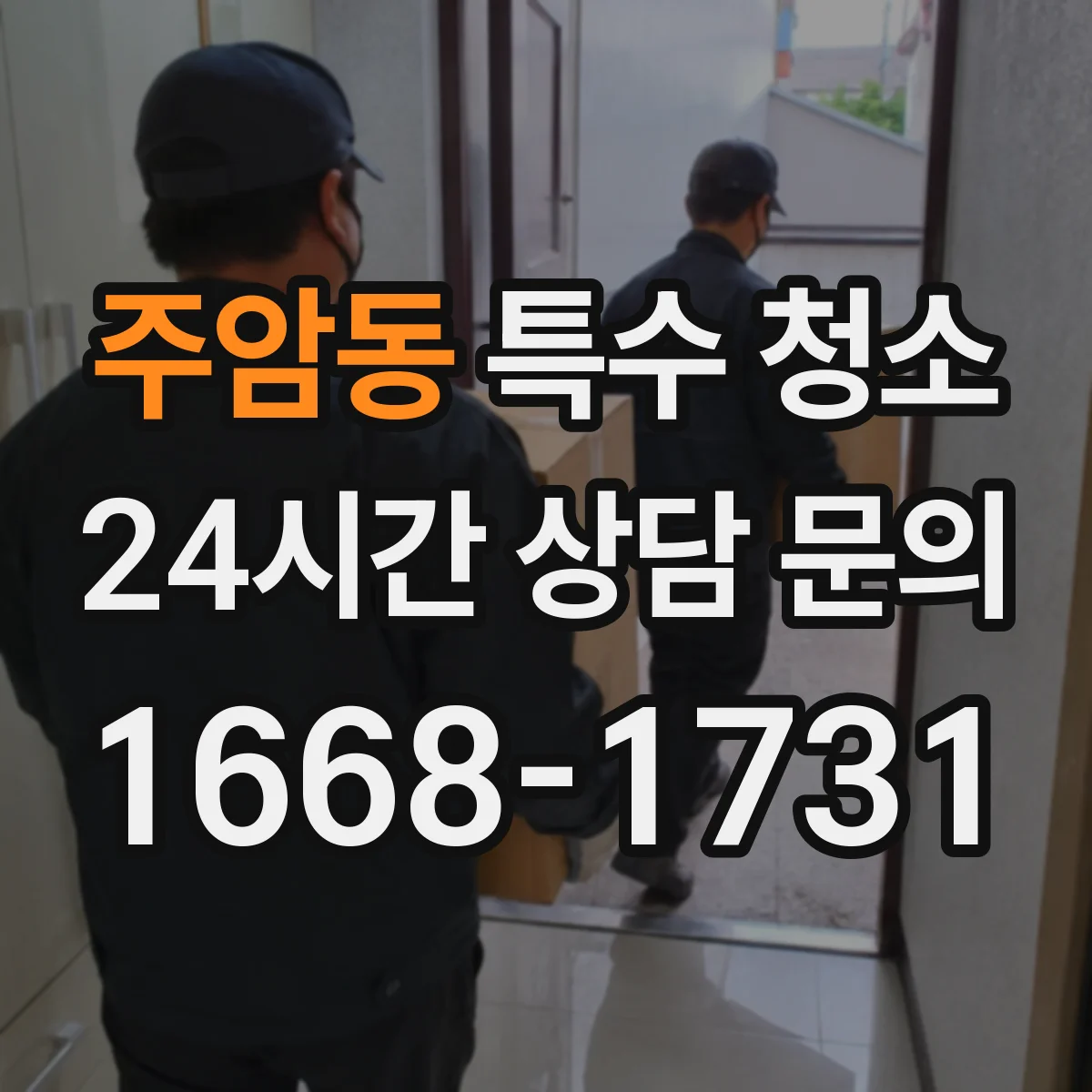 주암동 특수 청소