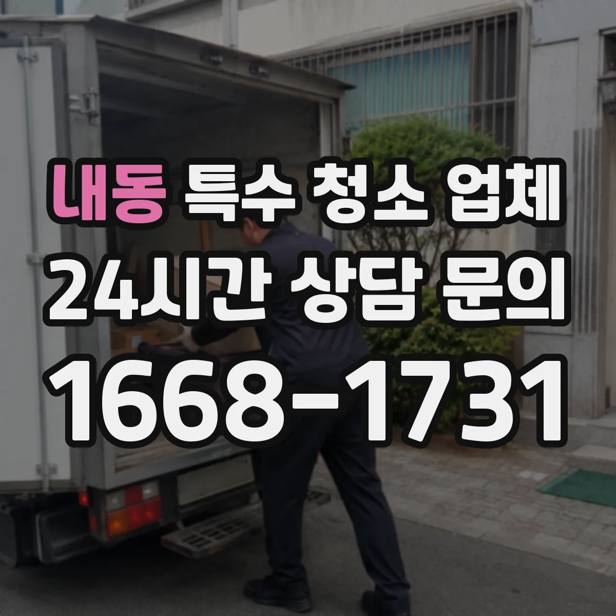 내동 특수 청소 업체