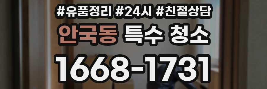안국동 특수 청소