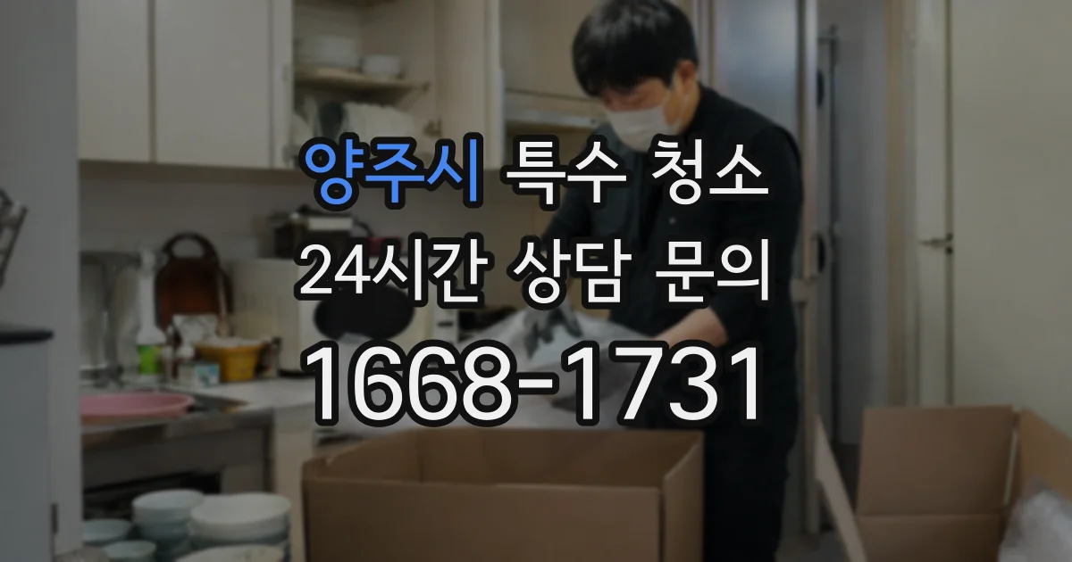 양주시 특수 청소