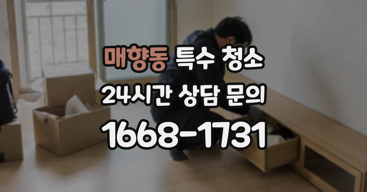매향동 특수 청소