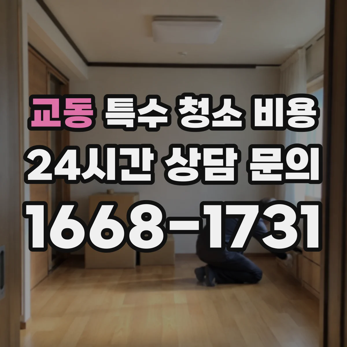 교동 특수 청소 비용